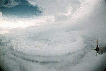 taifuu.jpg
